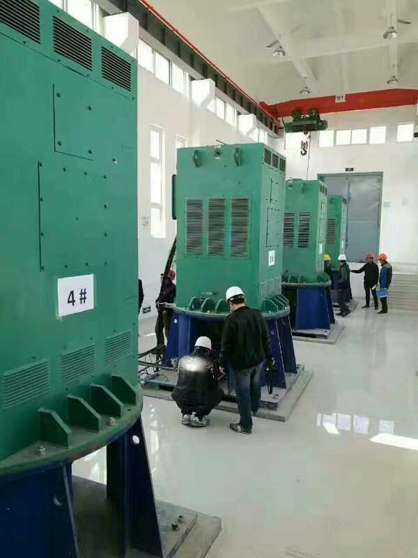 贾汪某污水处理厂使用我厂的立式高压电机安装现场